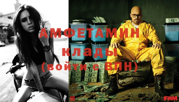 шишки Волоколамск