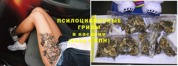 шишки Волоколамск