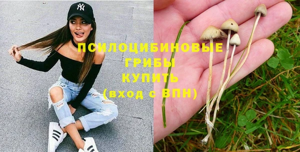 шишки Волоколамск